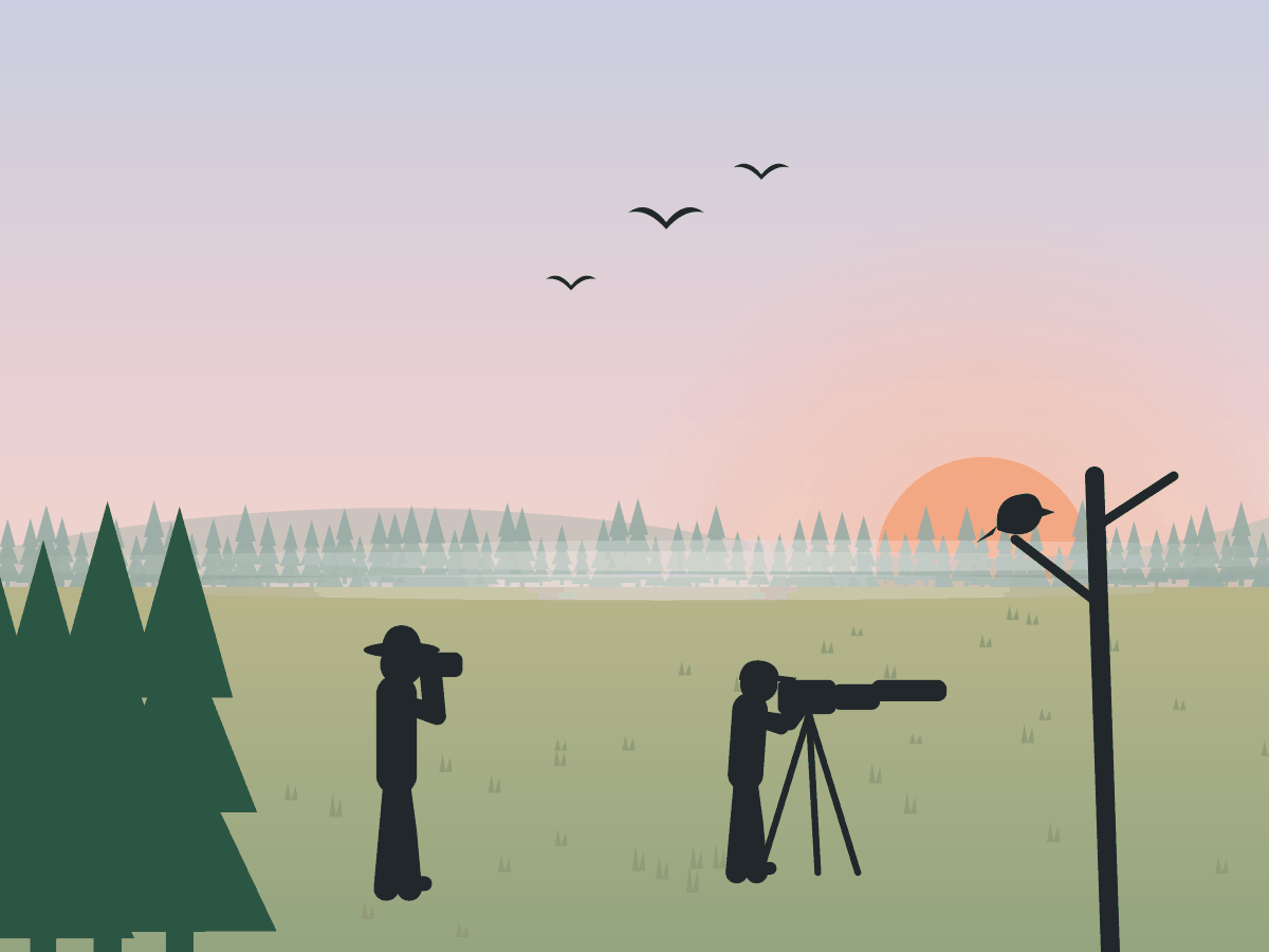 Illustration of a birder with binoculars and a photographer with a tripod at dawn