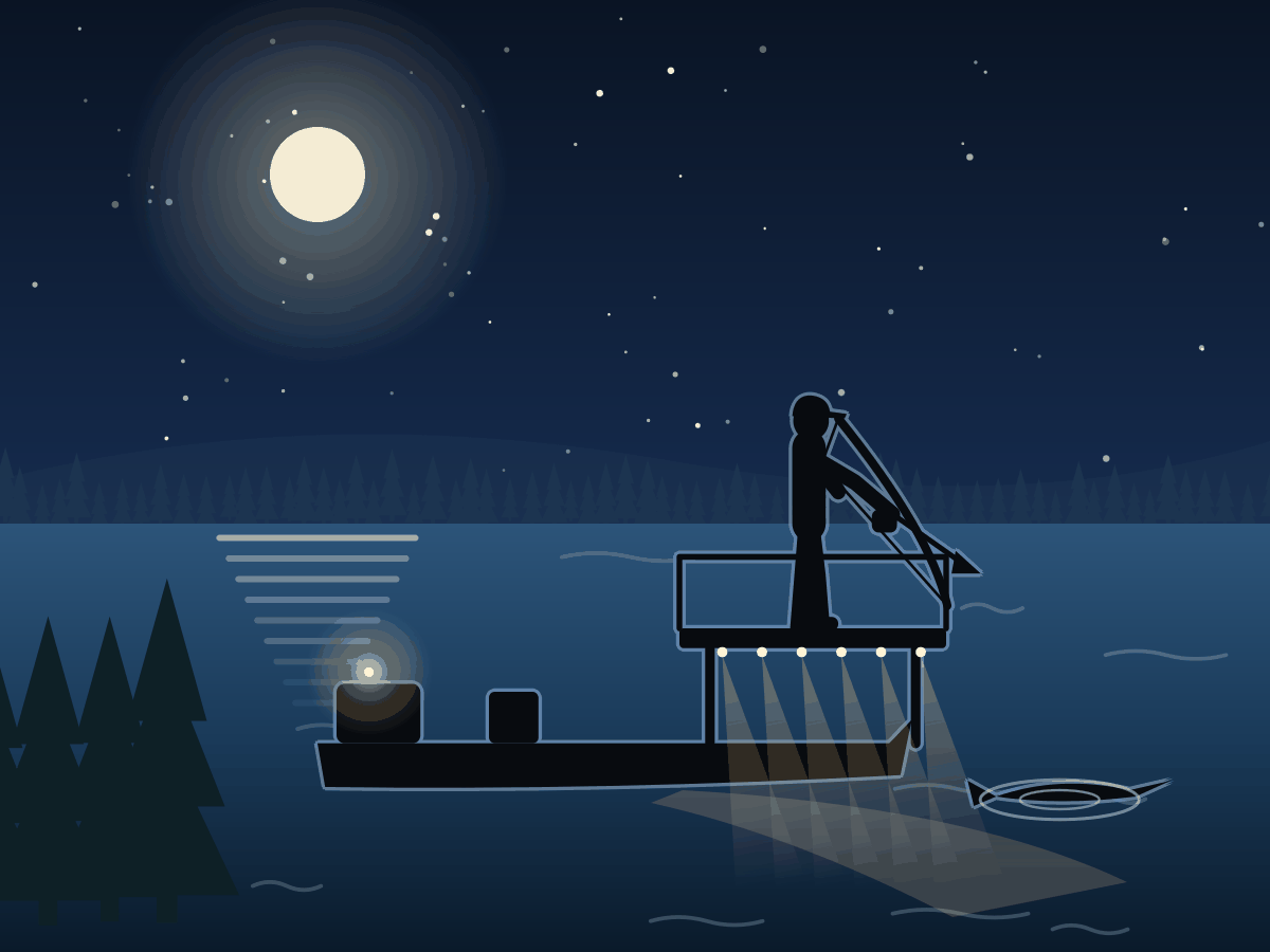 Illustration of bowfishing from a lit boat deck at night