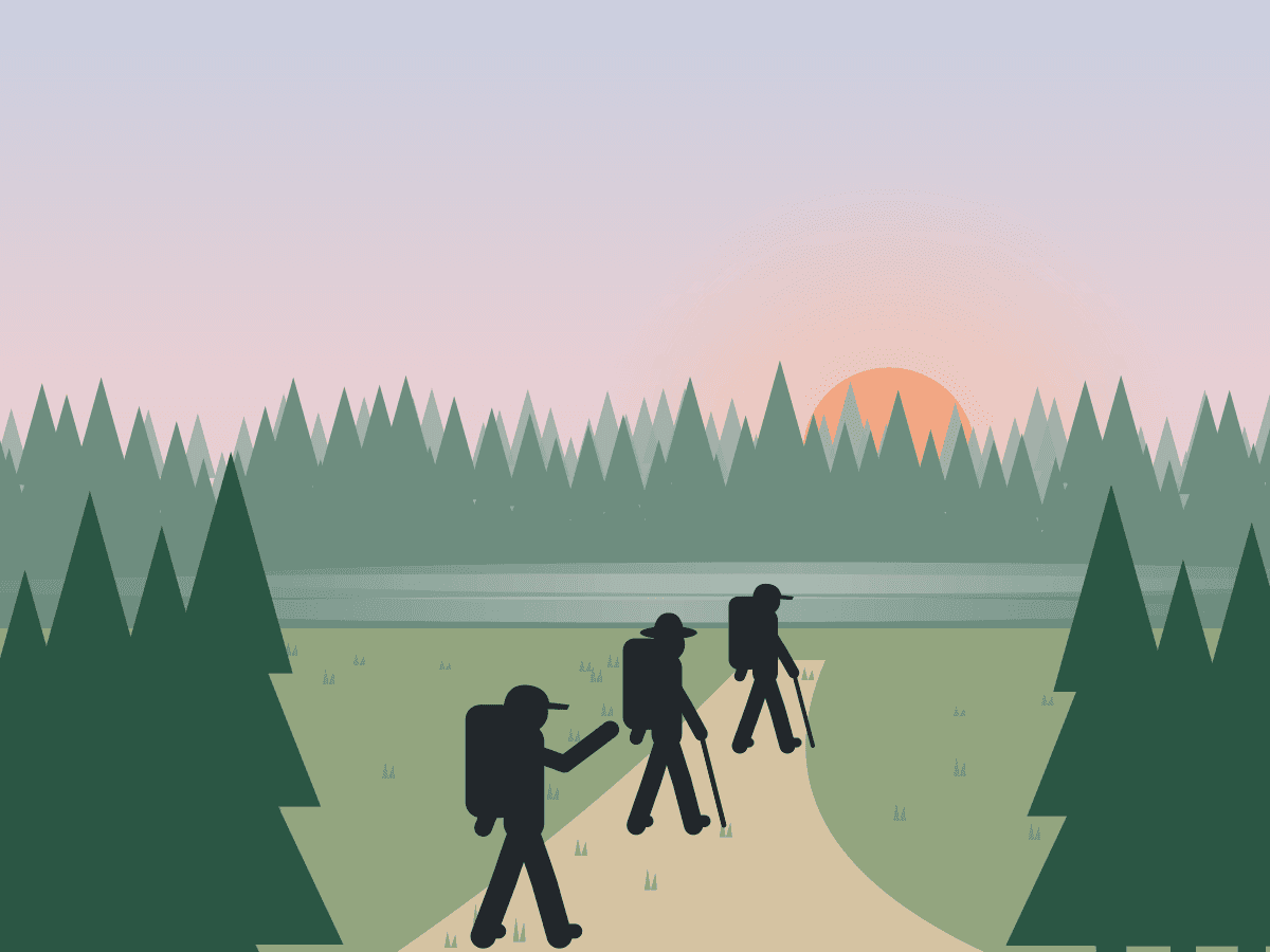 Illustration of hikers with packs on a piney-woods trail at dawn