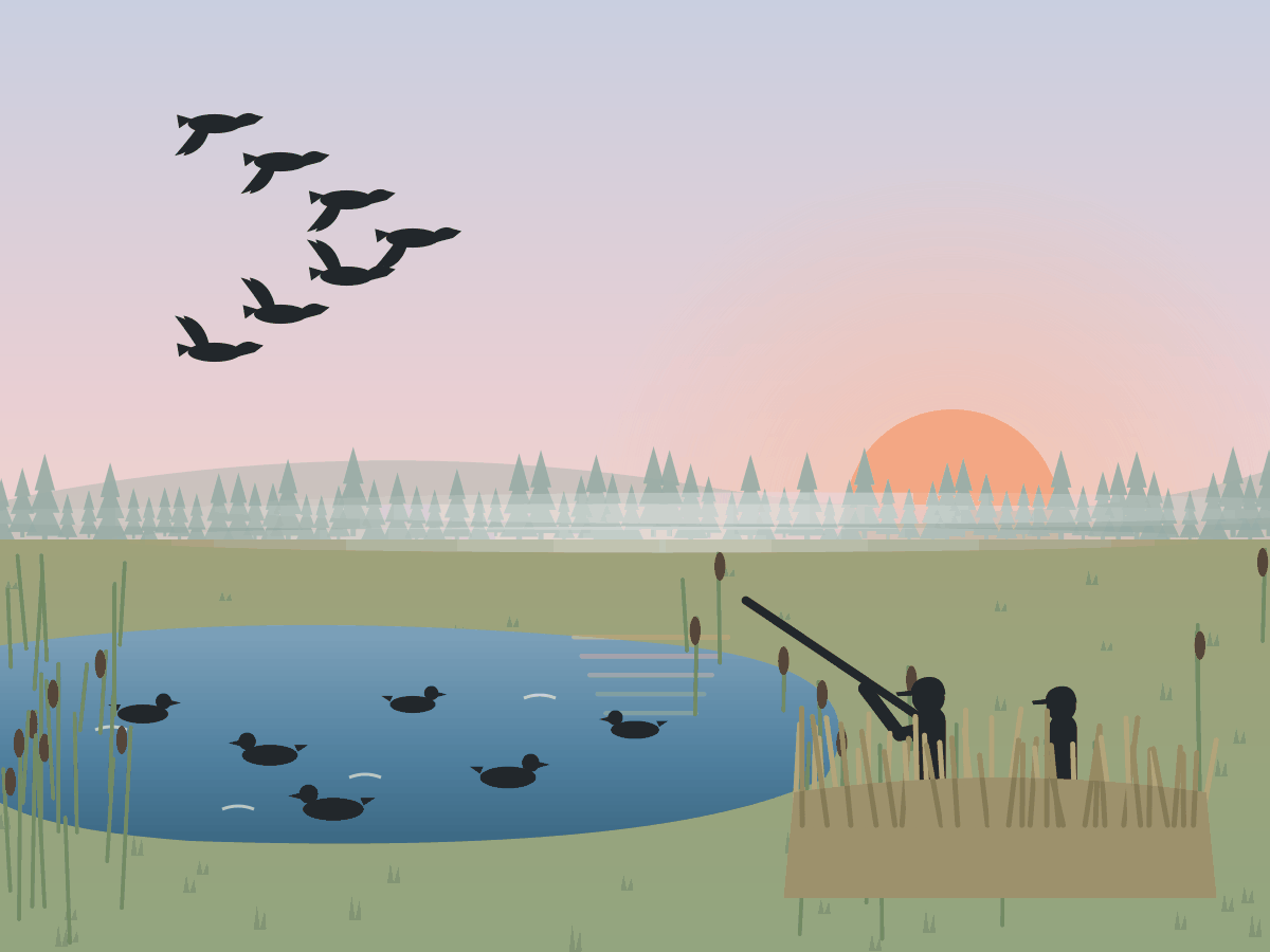 Illustration of duck hunters in a marsh blind with decoys and ducks overhead at dawn